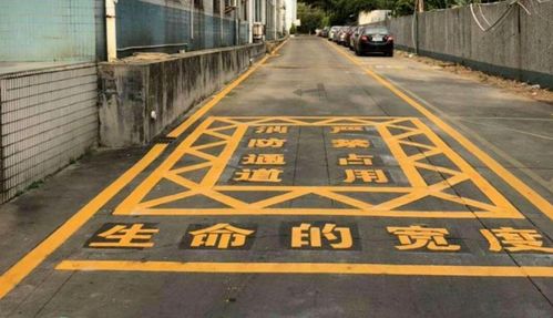 司機車內(nèi)猝死仍被貼條 惋惜的是生命,不解的是執(zhí)法程序